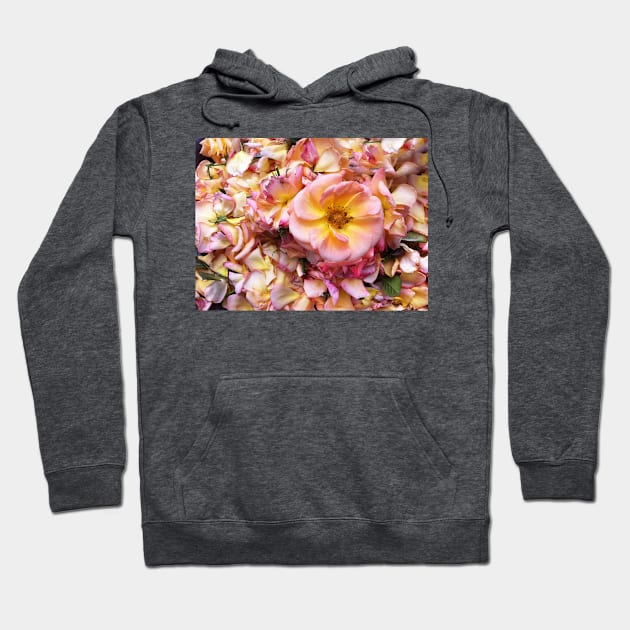 Rose and petals Hoodie by rozmcq